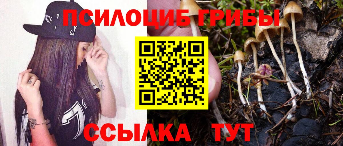 Галлюциногенные грибы Magic Shrooms  Вход с VPN  наркота  Ногинск 