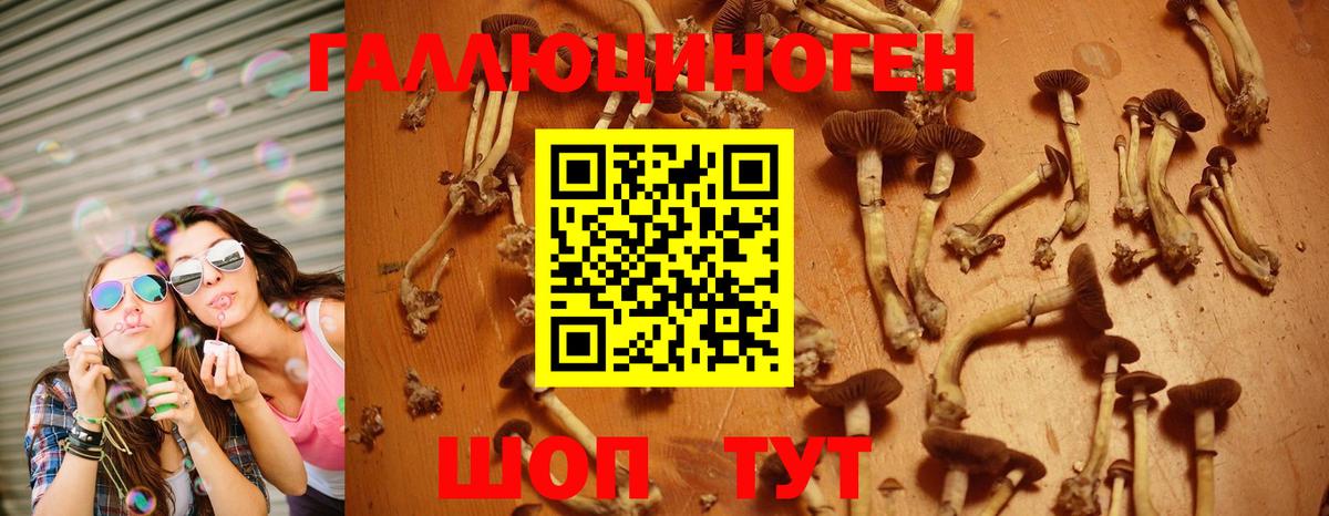 Галлюциногенные грибы мухоморы Ногинск